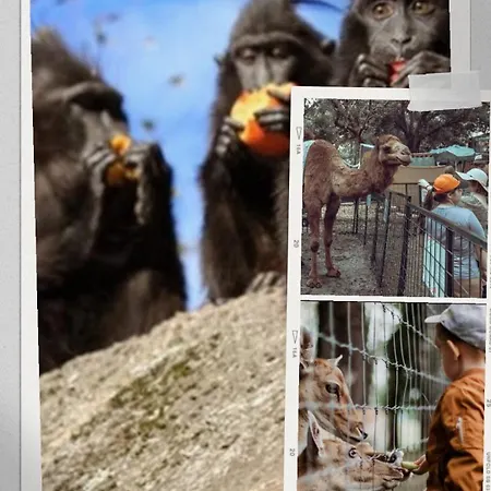 Mountain & Haven & Close To Oslo * Stange