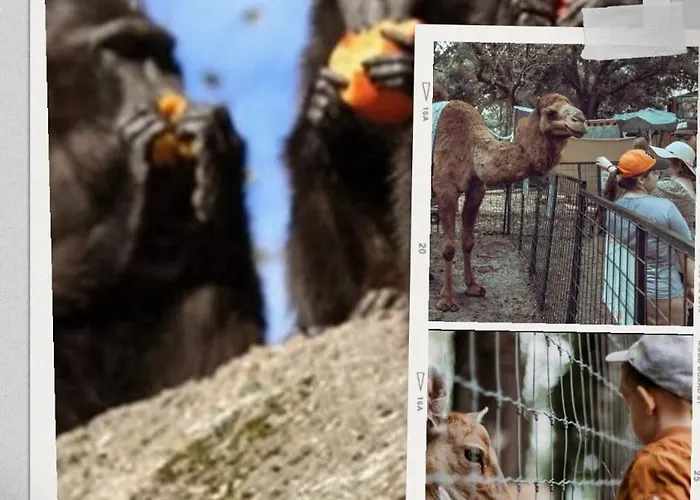 Mountain & Haven & Close To Oslo * Stange